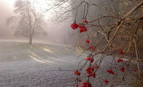 Діставайте пуховики, гряде похолодання: погода у Торецьку цього тижня  