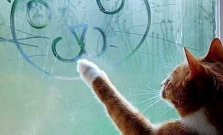 Цього тижня до Херсона прийдуть перші морози
