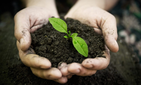 Мама, гречка и земля. Андрей Кисель - о рынке земли