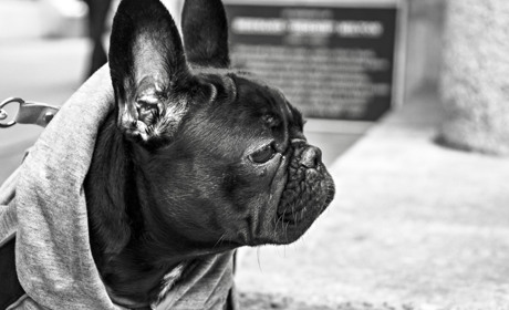 У Кагарлику і районі цими вихідними синоптики прогнозують сонячну погоду