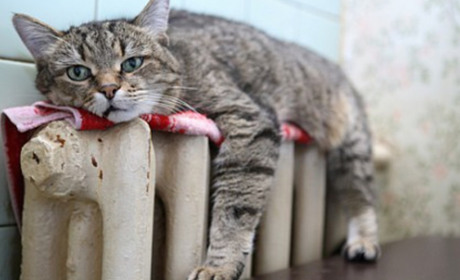 Цього тижня морози відступлять. Якої погоди очікувати білопільцям найближчими днями?