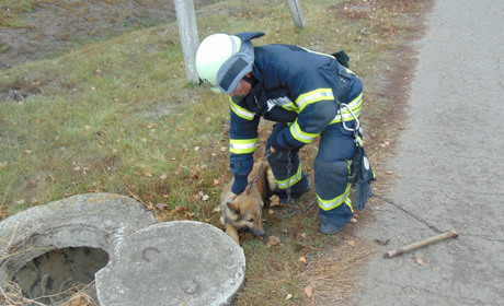 Як троїцькі рятувальники із люку собаку дістали