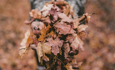 Куди піти у Старокостянтинові і Хмельницькому з 28 листопада по 5 грудня. Найближчі події тижня