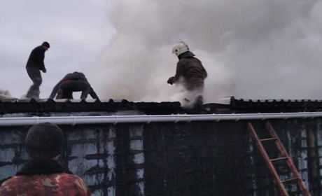 Порушували закони, ліквідовували пожежі, боєприпаси та виявили жучки: головне за минулий тиждень