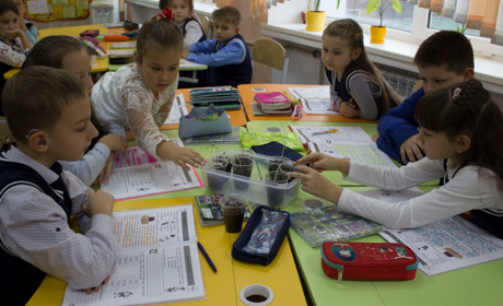 «Інтелект України»: як у добропільському НВК № 4 навчають маленьких геніїв