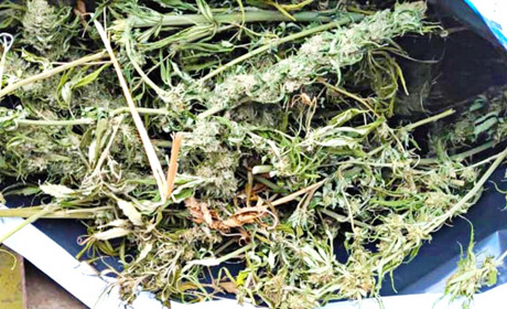 У жителя села Уляники Ржищівської ОТГ поліцейські виявили наркотики