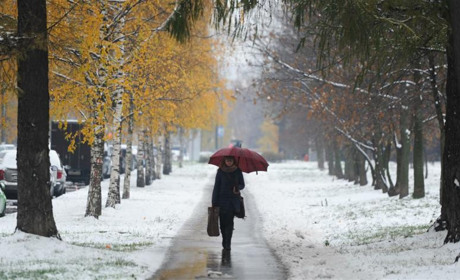 На наступному тижні в Кагарлицькому районі очікується вдень потепління, а вночі - морози