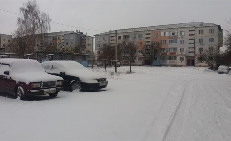 Випав перший сніг в Троїцькому