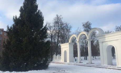 В місті встановлено новорічну ялинку: чим вона особлива?