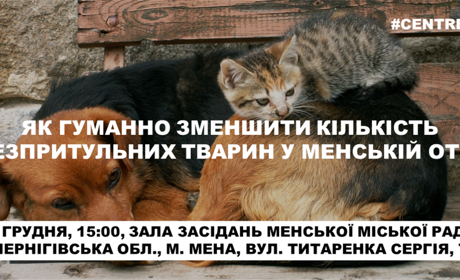 У Мені обговорять, як гуманно зменшити кількість безпритульних тварин