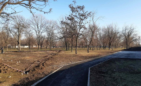 До кінця року в Гуляйполі мають реалізувати проєкт бюджету участі – скейт-парк  