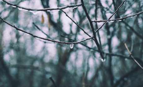 Наступний тиждень у Кагарлику та районі прогнозують дощовий