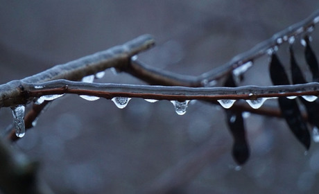 Погода у Старокостянтинові з 9 до 15 грудня: опади та аномальне потепління