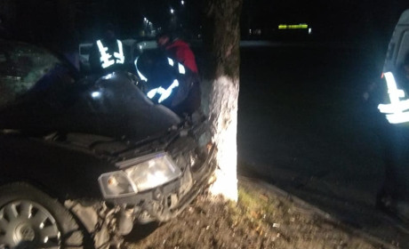 У Старокостянтинові легковик врізався в дерево