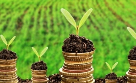 Добропільський район отримав більше 100 мільонів за оренду землі