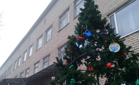 Фото дня: в Нижніх Сірогозах установили першу новорічну ялинку