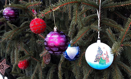 "Подаруй ялинці іграшку". Ми це змогли