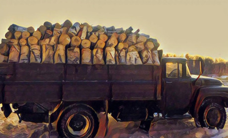 Оголошено війну “чорним дроворубам”