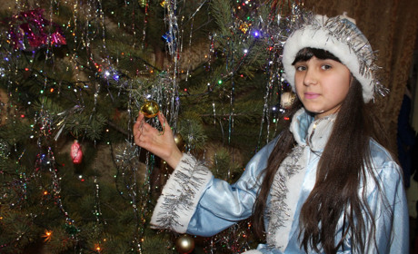 Скільки коштує новорічна ялинка в Троїцькому