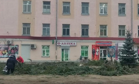 «Я особисто садив одну із ялин». Віталій Іващенко прокоментував резонансу вирубку дерев у Переяславі