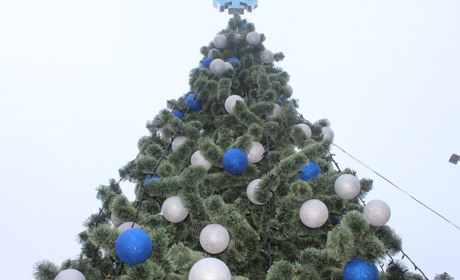 Головна ялинка в Троїцькому встановлена