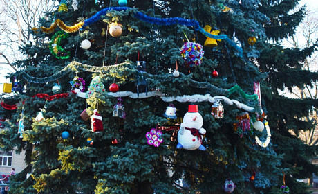 Головна ялинка Кагарлика засіяє вогнями на Миколая