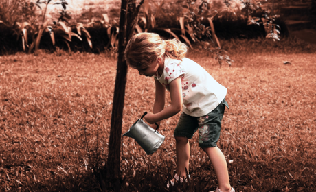 Полезные лайфхаки: как «одним выстрелом убить семь зайцев»