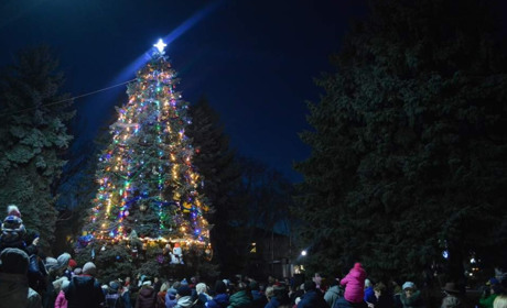 В Кагарлику засіяла зелена красуня