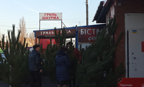 Із Запоріжжя за 150 грн., а з Волноваського  району за 300 та 500 грн.: ми шукали ялинки 