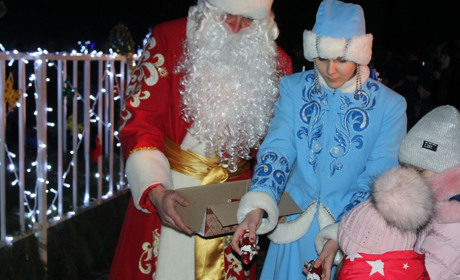 В Троїцькому засяяла новорічна ялинка