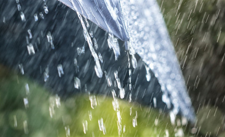 На наступному тижні в Кагарлицькому районі очікується дощова погода