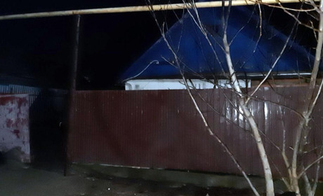 У Волновасі жінка вбила ножем співмешканця
