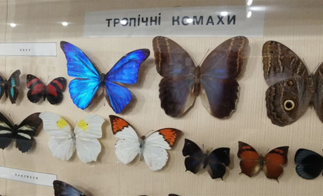 10 експонатів краєзнавчого музею у Фастові, які має побачити кожен 