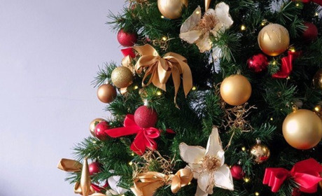 Як виглядають ялинки у містах Хмельниччини і де найкраща