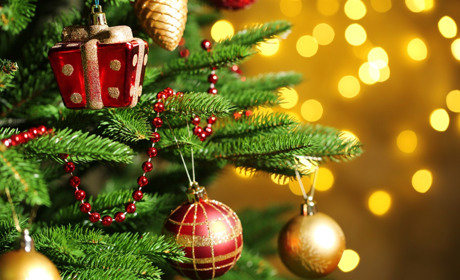 Де планують відзначити новорічні свята відомі люди Білопільщини