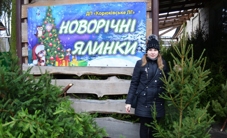 У Корюківці ялинками торгуватимуть до 31 грудня