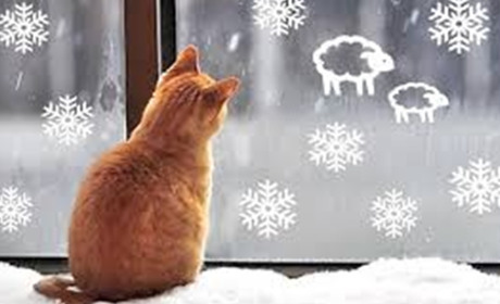 З якою погодою жителі Білопільщини зустрічатимуть Новий рік?