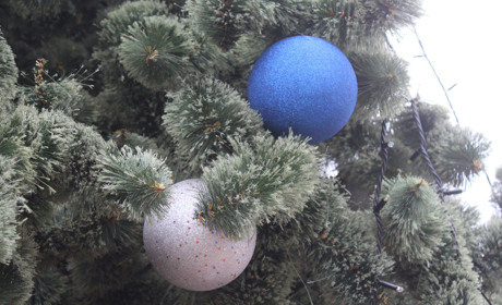 Гра. Що було в Троїцькому насправді, а що ні