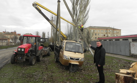 На улице Паркоммуны срезали тополя, мешающие пешеходам