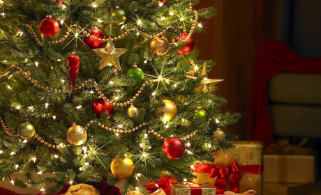 Головні ялинки України: що, де та скільки 