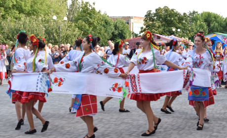 2019-й рік в фотографіях. Згадуємо найголовніші події  Сірогозщини разом