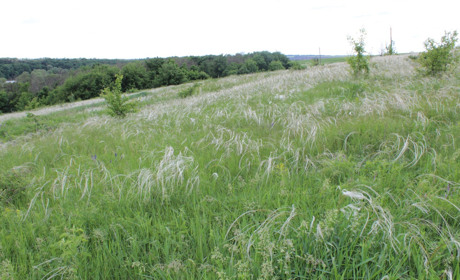 Вийшов в світ новий документальний фільм про Луганську область