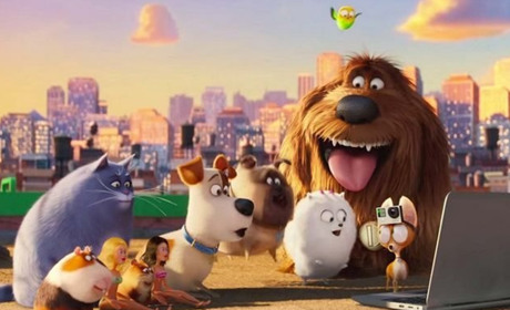 Мультфільми 2019 року: підбірка для дітей та дорослих