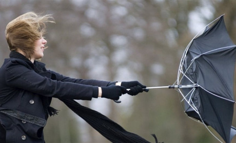 Синоптики попереджають: на Сумщину та Білопільщину насувається сильний вітер