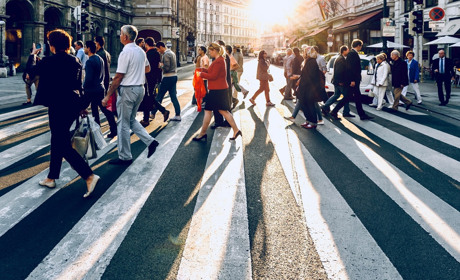 Кто будет заниматься профориентацией школьников и какие штрафы грозят пешеходам-нарушителям