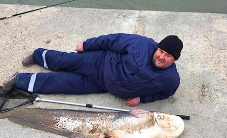Как два кума возле морвокзала Измаила из Дуная сома голыми руками вытащили