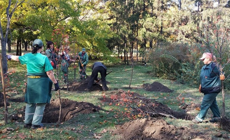 Тепер не одне підприємство. "Благоустрій" відділяється від ВУКГ