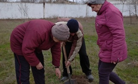 Рыковцам предлагают поучаствовать в озеленении родного поселка