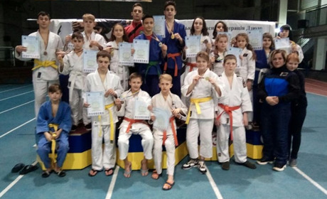 Дзюдоїсти з Добропілля стали призерами чемпіонату Донецької області