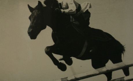 Колись Кагарлицький конезавод готував скакунів-призерів. Історія нашого краю